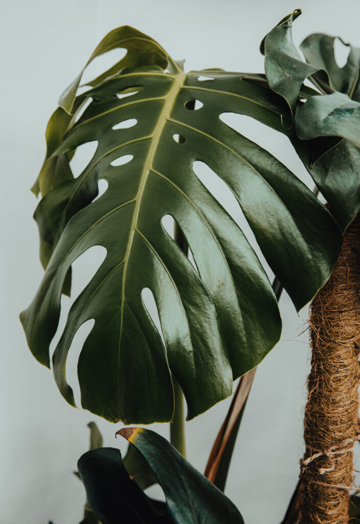 Zdjęcie nowoczesnego wnętrza barbera w Bielsku-Białej.