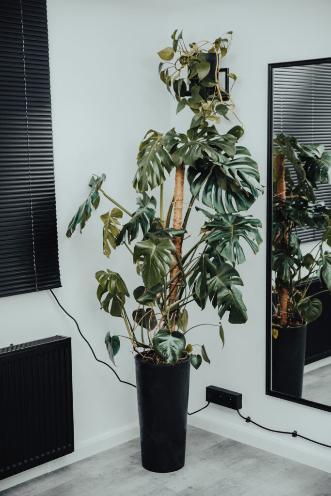 Zdjęcie nowoczesnego wnętrza barbera w Bielsku-Białej.