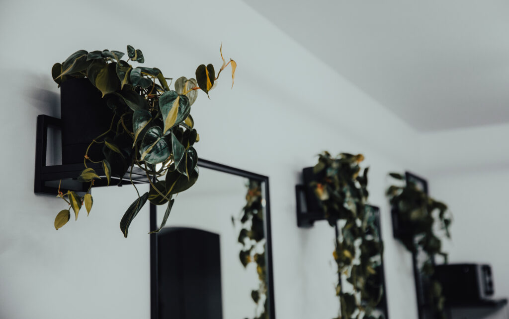 Zdjęcie nowoczesnego wnętrza barbera w Bielsku-Białej.